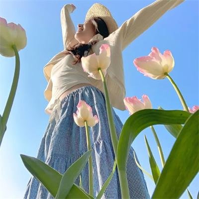 直言真相第二季封面